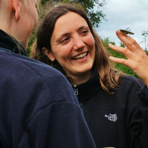Teilnehmende eines Kurses bestimmen Insekten.